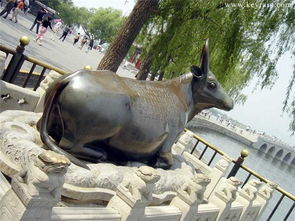 广场铜雕羊雕塑的艺术与工艺